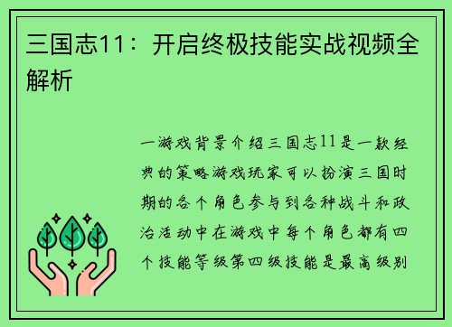 三国志11：开启终极技能实战视频全解析